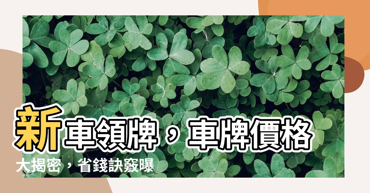 【車牌價格】新車領牌，車牌價格大揭密，省錢訣竅曝光！