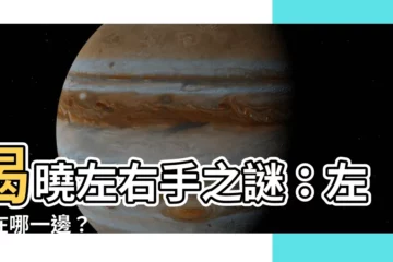 【左手是哪邊】揭曉左右手之謎：左手在哪一邊？