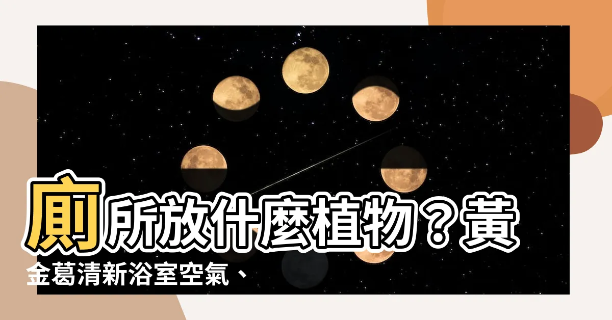 【廁所放什麼植物】廁所放什麼植物？黃金葛清新浴室空氣、驅除甲醛、化解厄運！