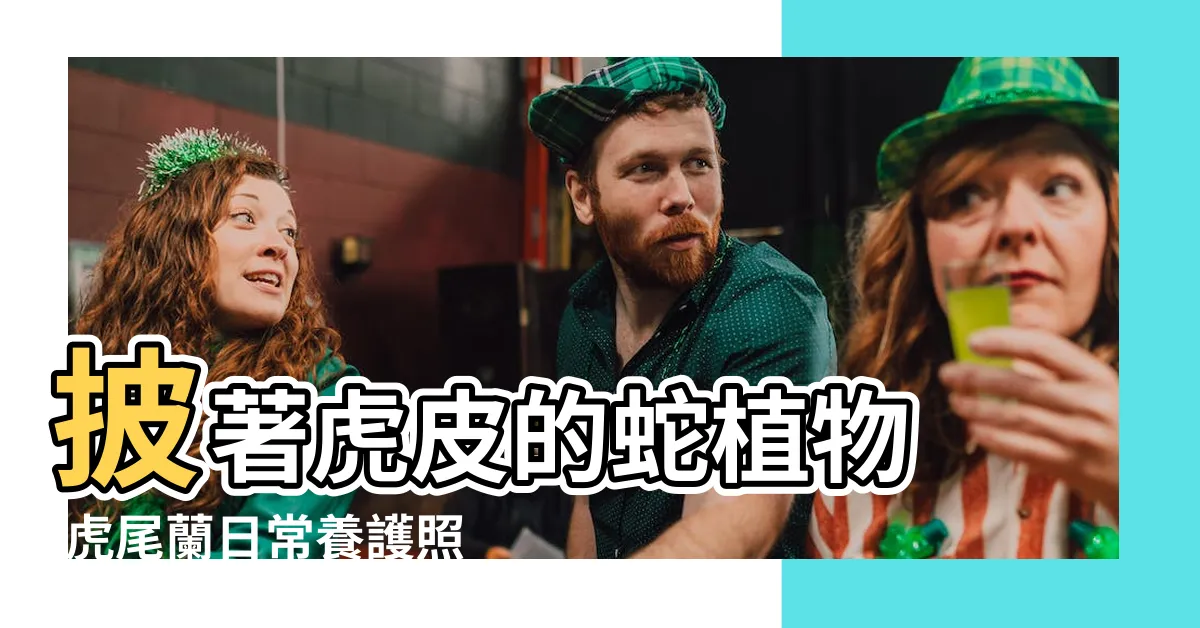 【虎尾蘭養殖】披著虎皮的蛇植物 |虎尾蘭日常養護照顧方法 |虎尾蘭種植 |