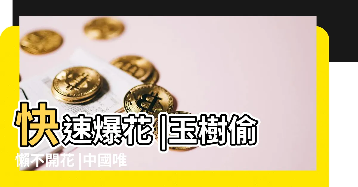 【玉樹】快速爆花 |玉樹偷懶不開花 |中國唯一の無料観光都市で秘境の旅を始めよう |