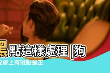 【狗鼻子旁也會長褐色痣】黑點這樣處理 |狗的皮膚上有斑點是正常的嗎 |狗狗皮膚變黑該怎麼辦 |