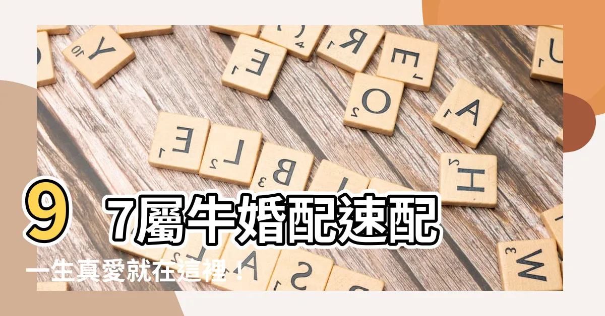 【97屬】97屬牛婚配速配 一生真愛就在這裡！