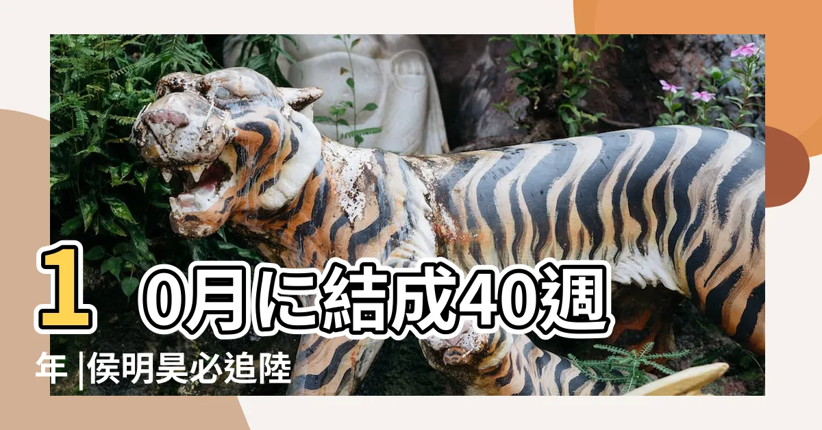 【上山龍紀】10月に結成40週年 |侯明昊必追陸劇推薦 |クラッシュ |