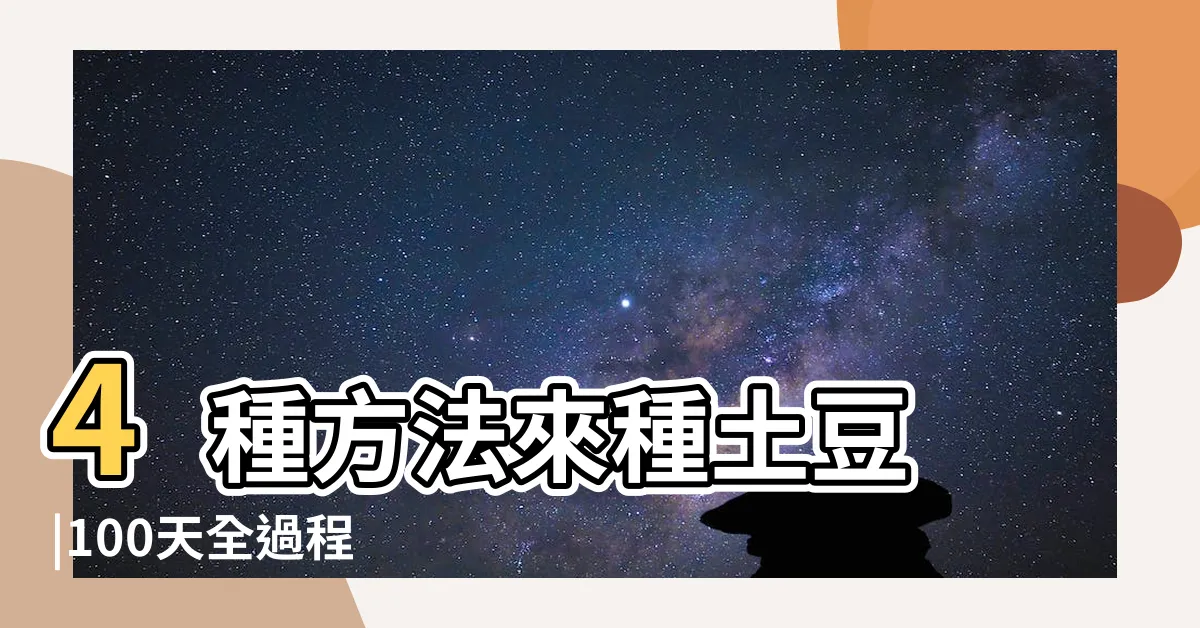 【種土豆】4種方法來種土豆 |100天全過程 |植袋種土豆 |