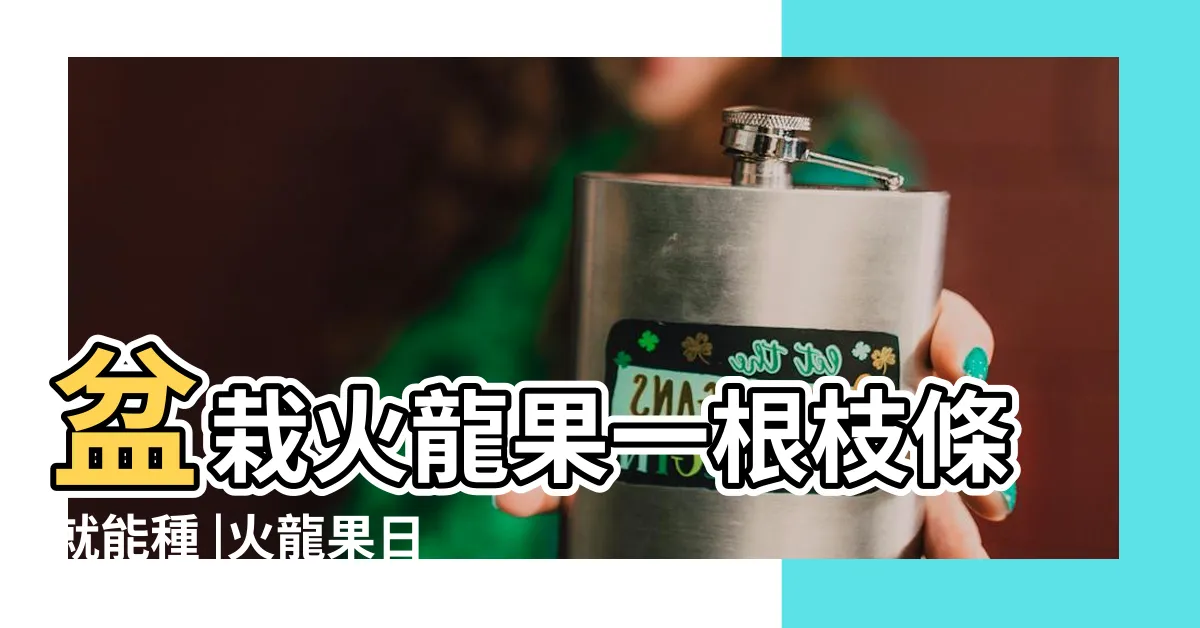【火龍果種植盆栽】盆栽火龍果一根枝條就能種 |火龍果日常養護照顧方法 |圖文步驟教學 |