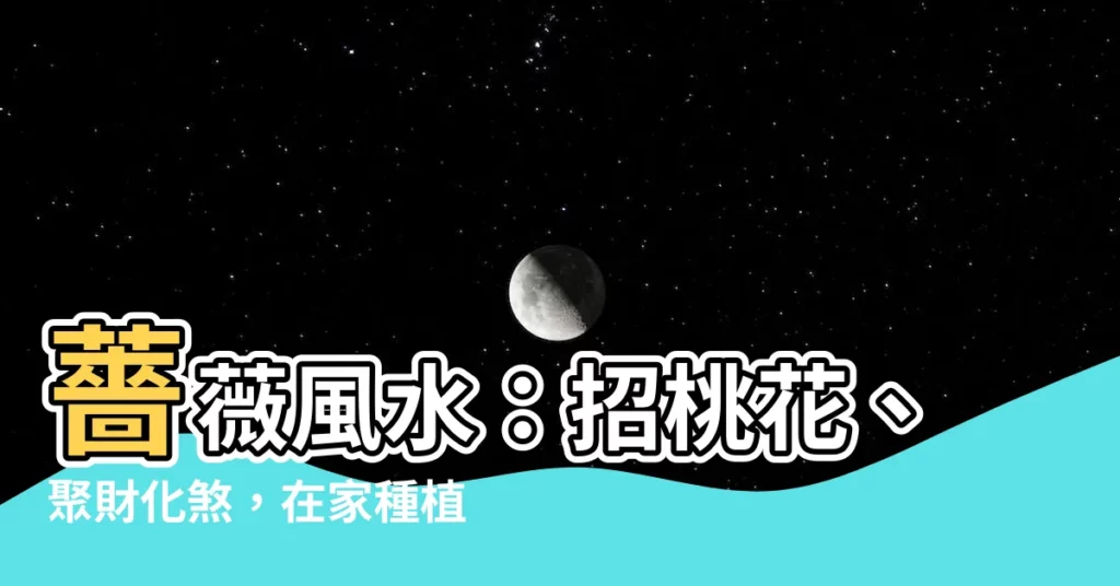 【薔薇風水】薔薇風水：招桃花、聚財化煞，在家種植必知風水禁忌！