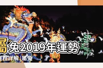 【屬兔2019年生肖運勢詳解】屬兔2019年運勢及運程詳解 |屬兔2019年運勢及運程2019年屬兔人的全年運勢 |屬兔人2019年度運勢 |