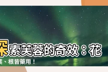 【芙蓉的作用】探索芙蓉的奇效：花、葉、根皆藥用！