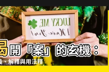 【案意思】揭開「案」的玄機：涵義、解釋與用法釋疑