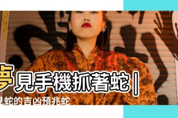 【夢見蛇手機套】夢見手機抓著蛇 |夢見蛇的吉凶預兆蛇躲在 |命理師揭10種夢境 |