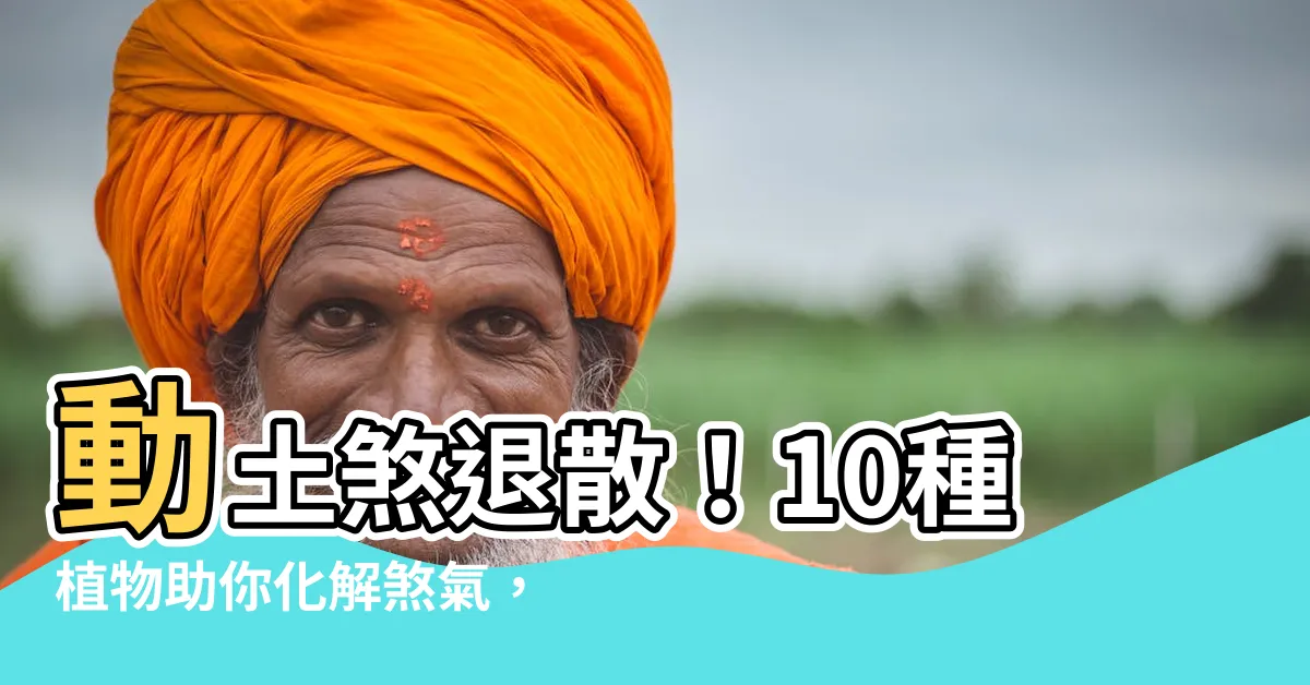 【動土煞化解植物】動土煞退散！10種植物助你化解煞氣，打造平安好宅