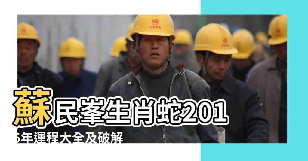 蘇民峯生肖蛇2016年運程大全及破解 |屬蛇的人2016年運程 |屬蛇的人2016年運程 |【2016年蛇婚姻運程】