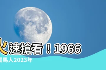 【1966屬馬】火速搶看！1966年屬馬人2023年全年運勢解析