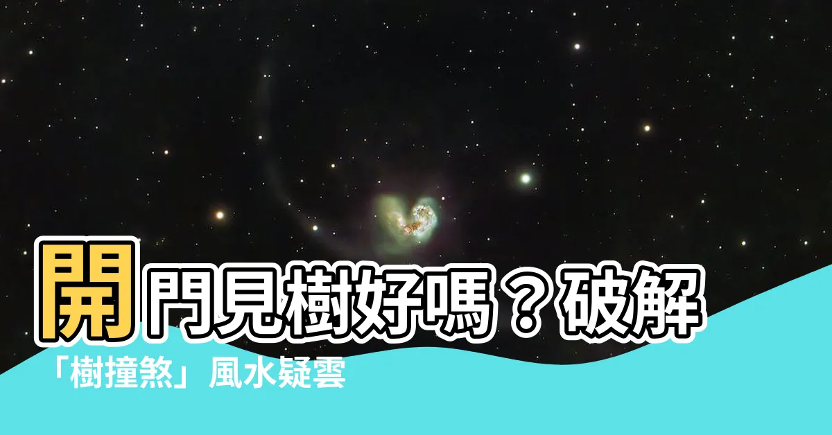 【開門見樹】開門見樹好嗎？破解「樹撞煞」風水疑雲