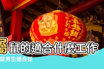 【屬鼠男適合的職業】屬鼠的適合什麼工作 |屬鼠男生適合從事什麼工作 |屬鼠男適合做什麼工作 |