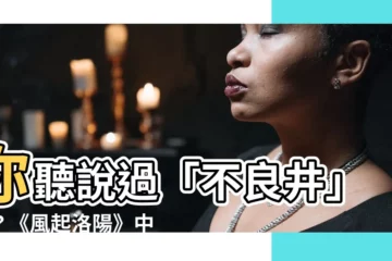 【不良井意思】你聽説過「不良井」嗎？《風起洛陽》中的「不良」究竟有何深意？