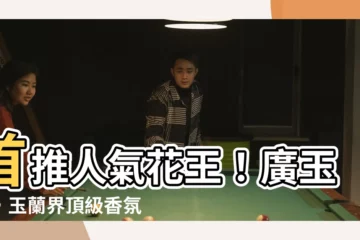 【廣玉蘭】首推人氣花王！廣玉蘭，玉蘭界頂級香氛美姿