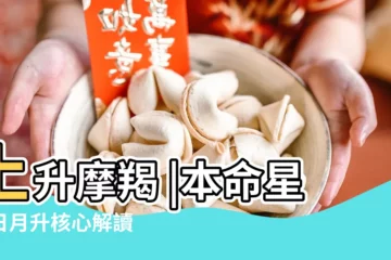 【上升摩羯和月亮摩羯女】上升摩羯 |本命星盤日月升核心解讀 |上升摩羯 |