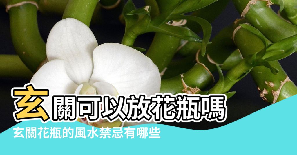 【玄關風水不擺花】玄關可以放花瓶嗎 |玄關花瓶的風水禁忌有哪些 |進門玄關放花風水好嗎 |