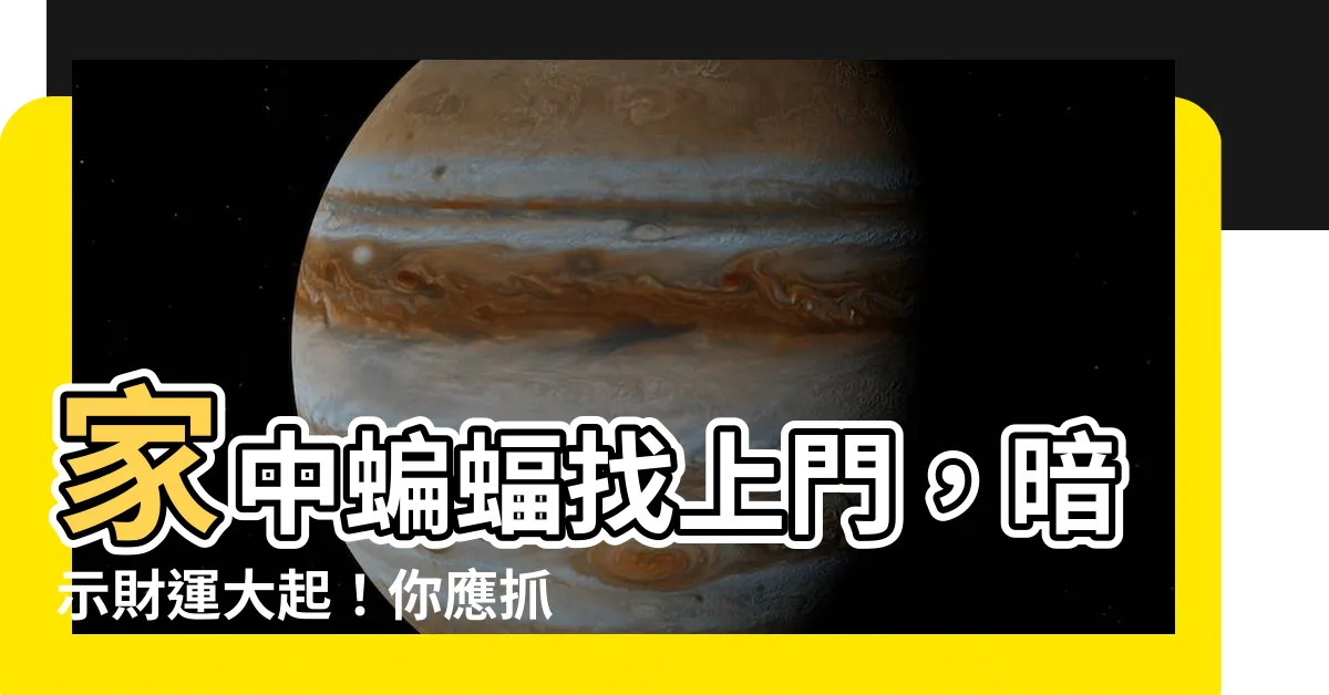 【家裏有蝙蝠】家中蝙蝠找上門，暗示財運大起！你應抓住這個機會！