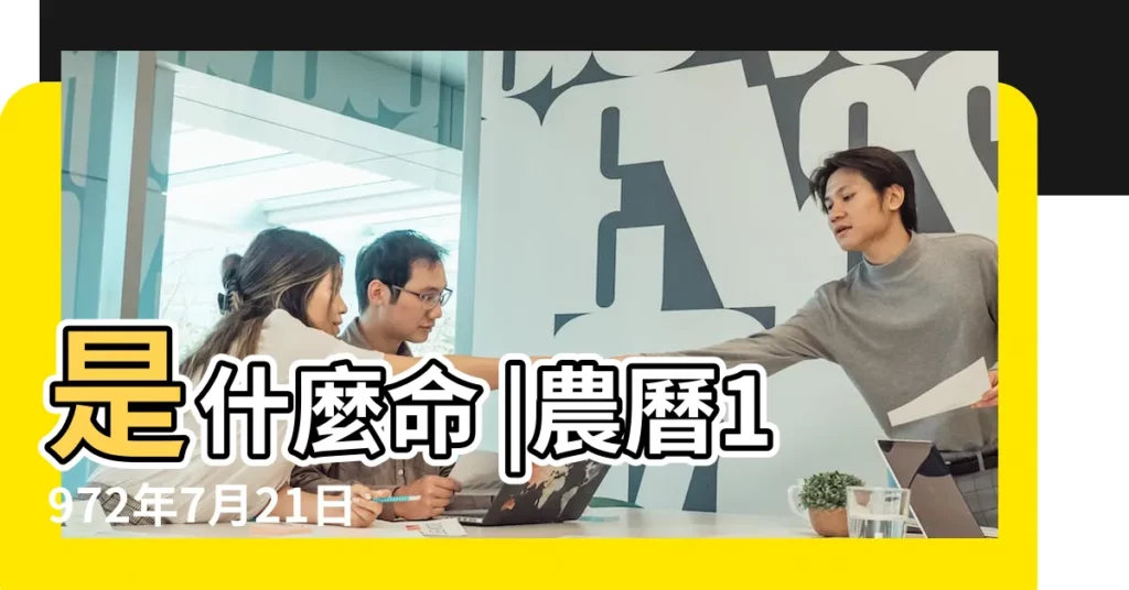 是什麼命 |農曆1972年7月21日生日算命 |大使簡歷 |【1972年7月女】