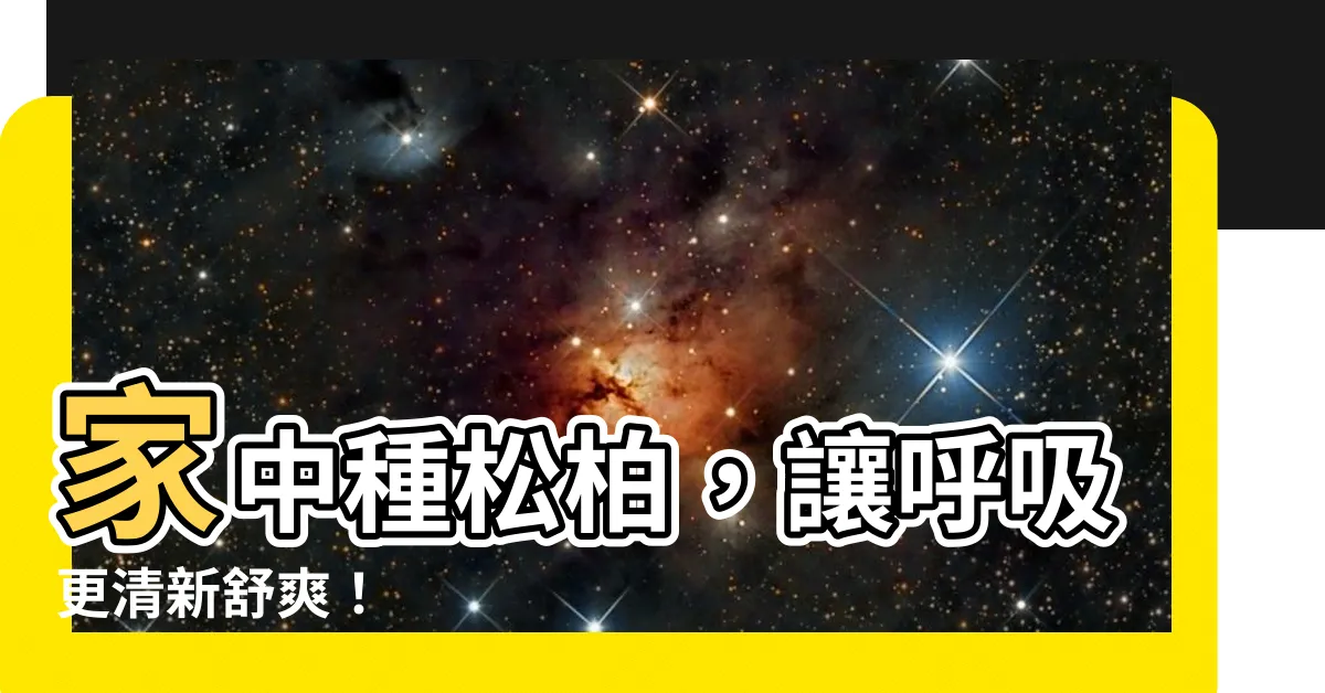 【家裡可以種松柏嗎】家中種松柏，讓呼吸更清新舒爽！
