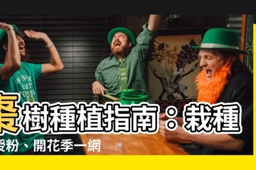 【棗樹種植】棗樹種植指南：栽種、授粉、開花季一網打盡