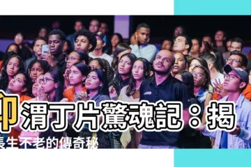 【仰渭丁片】仰渭丁片驚魂記：揭密長生不老的傳奇秘方