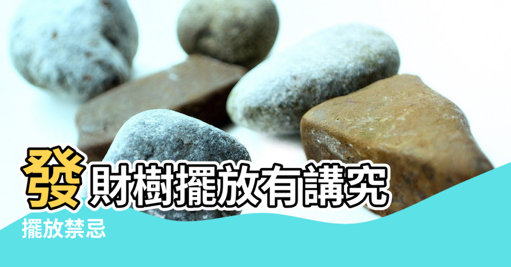 【發財樹放在哪裡風水好】發財樹擺放有講究 |擺放禁忌 |3個位置最適宜 |