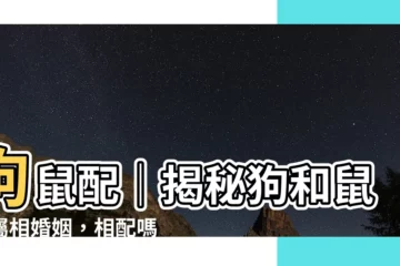 【狗鼠配】狗鼠配｜揭秘狗和鼠的屬相婚姻，相配嗎？注意事項一次看！