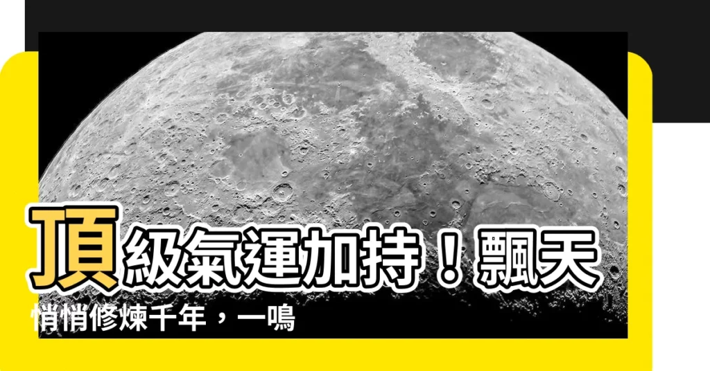 【頂級氣運悄悄修煉千年飄天】頂級氣運加持!飄天悄悄修煉千年,一鳴驚人!