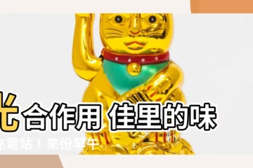 【光合作用 佳里】光合作用 佳里的味蕾充電站！來份早午餐，開啟美好的一天！