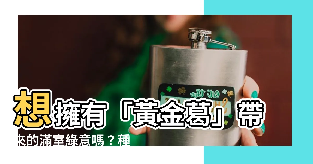 【黃金葛種植】想擁有「黃金葛」帶來的滿室綠意嗎？種植全攻略，一看就懂！