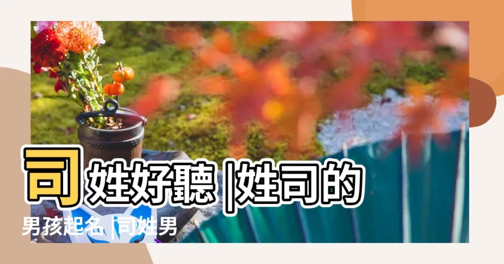 司姓好聽 |姓司的男孩起名 |司姓男孩名字大全 |【姓司男寶寶取名】