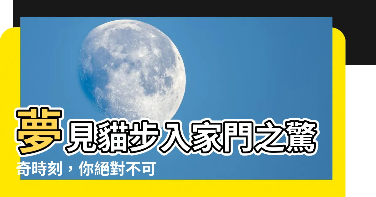 【夢見貓入屋】夢見貓步入家門之驚奇時刻，你絕對不可錯過！