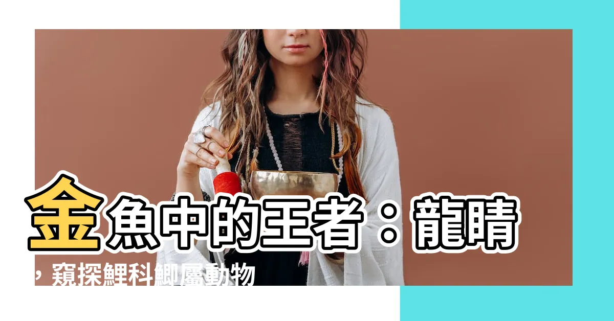 【金魚 龍】金魚中的王者：龍睛，窺探鯉科鯽屬動物的靈動之美