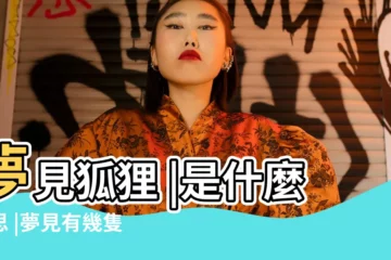【夢見狐狸結尾巴】夢見狐狸 |是什麼意思 |夢見有幾隻尾巴的狐狸 |