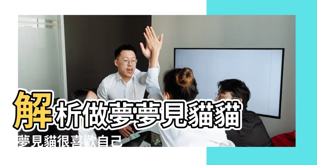 解析做夢夢見貓貓 |夢見貓很喜歡自己 |夢到很多小貓喜歡自己 |【白天夢見貓我很喜歡】