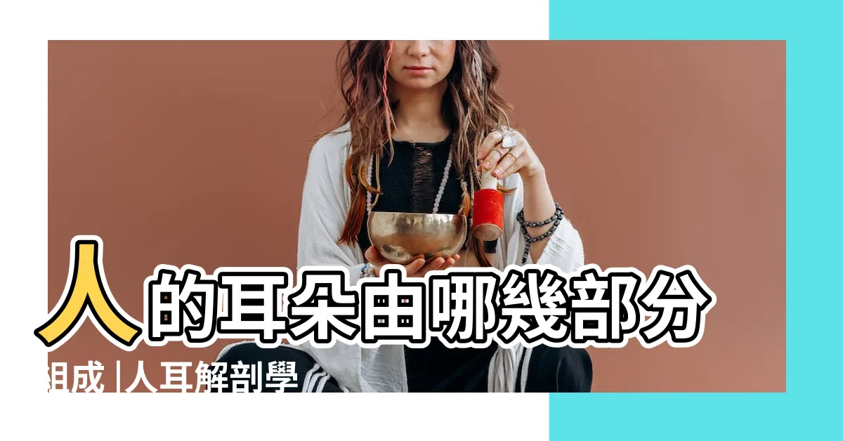 【人外耳】人的耳朵由哪幾部分組成 |人耳解剖學 |健康科普 |