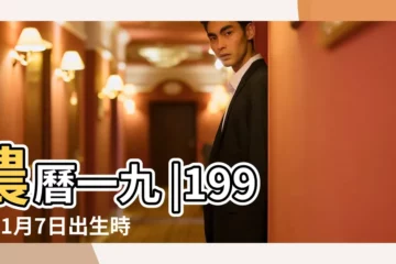 【1994年1月7】農曆一九 |1994年1月7日出生時間看命運 |國曆1994年1月7日是農曆幾月幾日 |