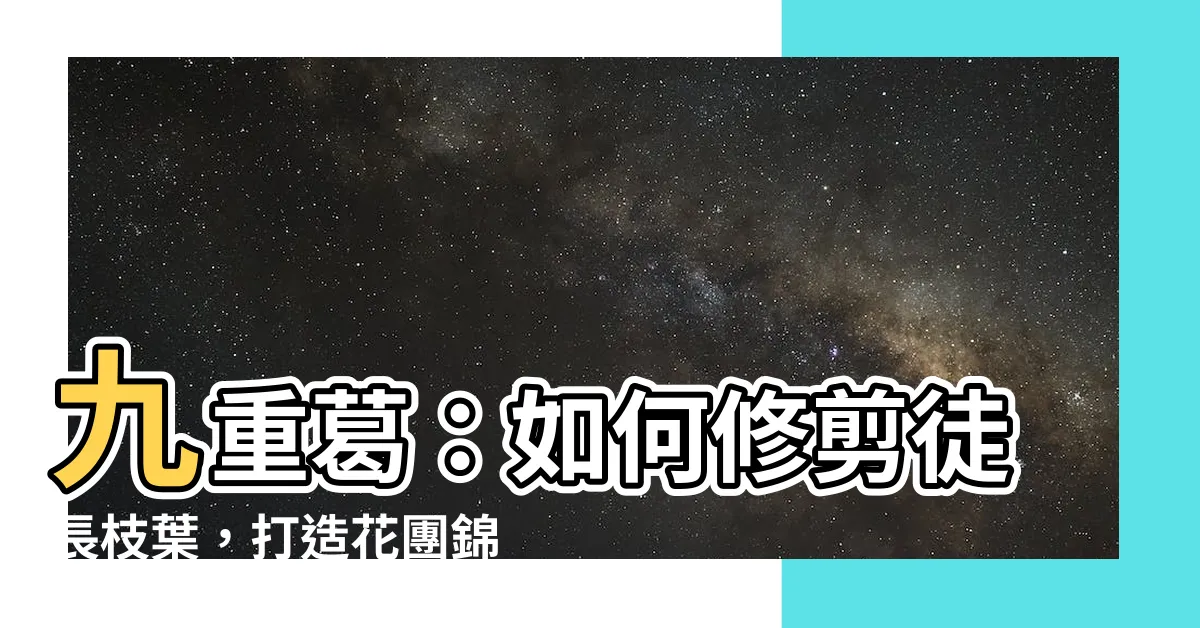 【九重葛徒長枝】九重葛：如何修剪徒長枝葉，打造花團錦簇的秘訣！