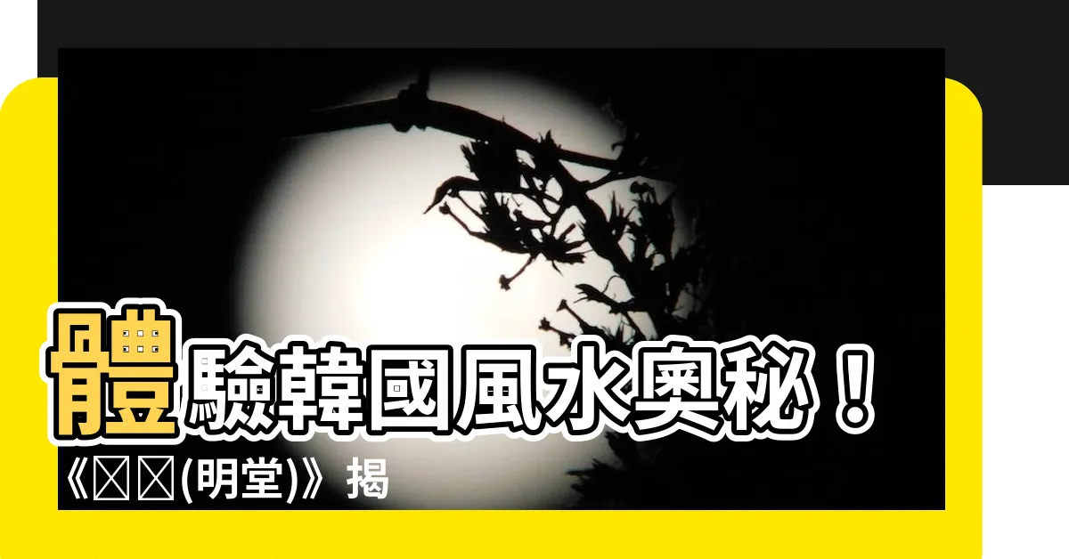 【風水電影】體驗韓國風水奧秘！《명당(明堂)》揭開風水電影的全新境界