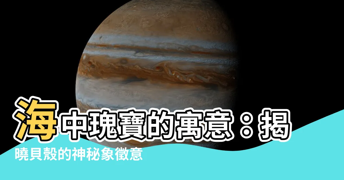 【貝殼寓意】海中瑰寶的寓意：揭曉貝殼的神秘象徵意義