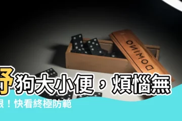 【如何防止野狗大便】野狗大小便，煩惱無極限！快看終極防範攻略！