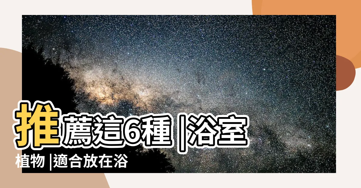 【浴室淨化廁所植物】推薦這6種 |浴室植物 |適合放在浴室廁所的植物 |