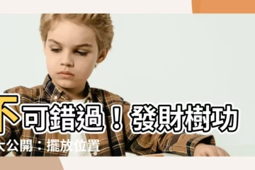 【發財樹功效】不可錯過！發財樹功效大公開：擺放位置、好處、種植秘訣一次看