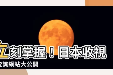 【日本收視率查詢】立刻掌握！日本收視率查詢網站大公開