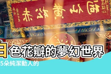 【白色花】白色花瓣的夢幻世界：25朵純潔動人的植物
