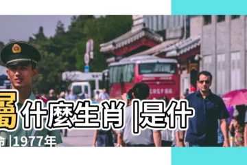 【1977年7月8】屬什麼生肖 |是什麼命 |1977年7月8日出生時間看命運 |